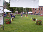 Filename=P6020010.JPG
Filesize=534KB
Dimensions=800x600
Date added=Nov 07, 2008 P6020010.JPG