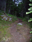 Filename=P6180048.JPG
Filesize=626KB
Dimensions=600x800
Date added=Nov 03, 2008 P6180048.JPG