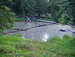 Filename=P6180053.JPG
Filesize=701KB
Dimensions=800x600
Date added=Nov 03, 2008 P6180053.JPG