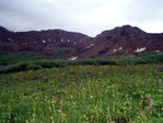 Filename=P7280082.JPG
Filesize=553KB
Dimensions=800x600
Date added=Nov 07, 2008 P7280082.JPG