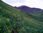 Filename=P7280086.JPG
Filesize=869KB
Dimensions=800x600
Date added=Nov 07, 2008 P7280086.JPG