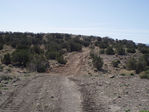 P4190012.JPG