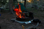 DSC_0477.jpg