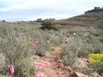 Filename=PA050037.JPG
Filesize=194KB
Dimensions=800x600
Date added=Oct 05, 2008 PA050037.JPG