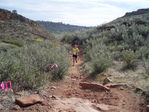 Filename=PA050040.JPG
Filesize=191KB
Dimensions=800x600
Date added=Oct 05, 2008 PA050040.JPG