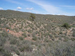 Filename=PA050043.JPG
Filesize=156KB
Dimensions=800x600
Date added=Oct 05, 2008 PA050043.JPG