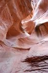 DSC_04491.jpg