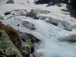 P1020136.jpg