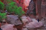 Filename=080406_Buckskin_Gulch,_UT.jpg
Filesize=151KB
Dimensions=800x530
Date added=Nov 15, 2009 080406_Buckskin_Gulch,_UT.jpg