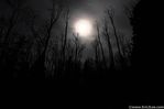 090505_Moon_Aquarius_Plateau,_UT.jpg